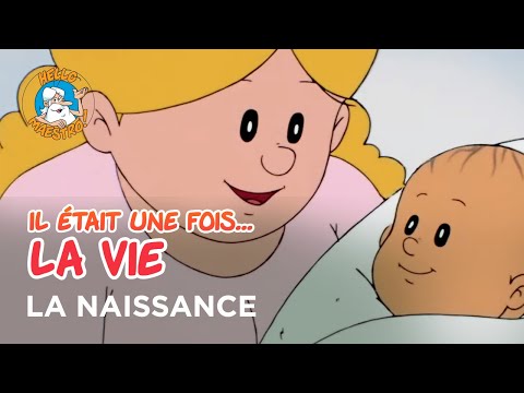Il était une fois… la Vie